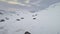 Antarctica fur seal colony rest aerial top view