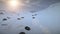Antarctica fur seal colony sleeping aerial view