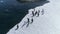 Antarctica gentoo penguin aerial edge view