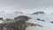 Antarctica gentoo penguin rock coast aerial view