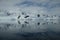 Antarctica glacial mountains reflecting in the mirror bay