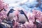 Antarctica harsh and extreme environment, cold temperatures, strong winds, flora and fauna, penguin, nature and animals