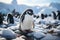 Antarctica harsh and extreme environment, cold temperatures, strong winds, flora and fauna, penguin, nature and animals