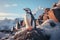 Antarctica harsh and extreme environment, cold temperatures, strong winds, flora and fauna, penguin, nature and animals