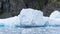 Antarctica and Iceberg landscape. Antarctic Peninsula