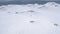 Antarctica landscape adelie penguin aerial view