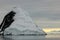 Antarctica landscape, icebergs, mountains and ocean at sunrise