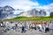 Antarctica, penguins in Antarctic landscape. King penguins - Aptendytes patagonica - chicks and adults