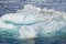 Antarctica - Texture Of Iceberg