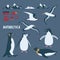 Antarctica themed set with penguins, albatross, tern, scientific research station