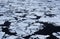 Antarctica Weddell Sea ice flow