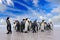 Antarctica wildlife, penguin colony. Group of king penguins coming back from sea to beach with wave and blue sky in background,