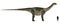 Antarctosaurus Size Comparison