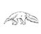 Anteater animal icon