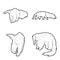 Anteater Animal Vector Illustration Hand Drawn Cartoon Art