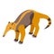 Anteater tongue icon isometric vector. Giant baby