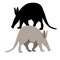 Anteater vector illustration style Flat silhouette