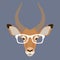 Antelope face glasses vector illustration front