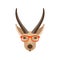 Antelope face head glasses vector illustration flat style front