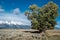 Antelope Flats in Grand Teton, Wyoming