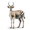 antelope gazelle isolated on white background