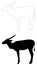 Antelope or gemsbok silhouette - wildlife mammal in Africa and Eurasia