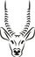 Antelope head graphic