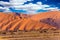 Antelope Impala standing at the desert dunes