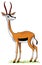 Antelope impala thompson cloven gum