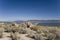 Antelope Island State Park in Utah