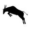 Antelope jumps vector illustration silhouette