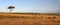 Antelope panarama in masai mara game park