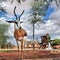 Antelope sprigbok, Namibia travel, Africa