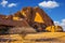 Antelope springbok in the Namib desert