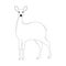 Antelope , vector illustration, lining draw,front