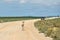 Antelopes springbok, Etosha, Namibia