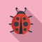 Antenna insect icon flat vector. Summer animal natural
