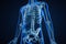 Anterior or front view of xray image of accurate human skeletal system or skeleton with adult male body contours on blue