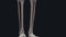 The anterior tibial artery is an artery of the leg