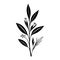 Anthericum Icon hand draw black colour plant leaf logo symbol perfect