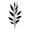 Anthericum Icon hand draw black colour plant leaf logo symbol perfect