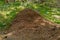 Anthill of Red wood ants Formica rufa in  open woodland