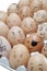 Anthropomorphic brown eggs arranged in carton against white background