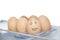 Anthropomorphic and plain brown eggs in carton against white background