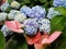 Anthurium and Hydrangea Bouquet