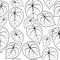 Anthurium tailflower flamingo flower leaves seamless pattern. Black outline on white background.