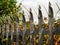 Anti climbing metal fence and vegetation with spikes.. Outer perimeter of a government building. Selective focus