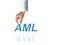 Anti Money Laundering Concept & x28;AML& x29;