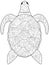 Anti stress coloring sea animal. Turtle black lines on a white background. Vector