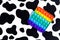 Anti stress sensory fidget push pop on the background of a cow. White and black spots. Macro image. Shadow